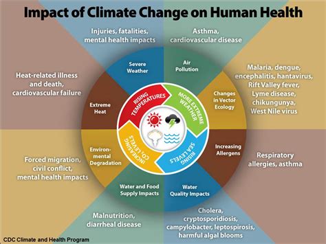 How Climate Change Impacts Health