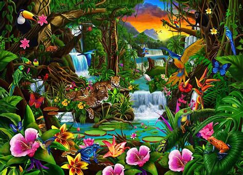 Beautiful Rainforest Greeting Card For Sale By Mgl Meiklejohn Graphics