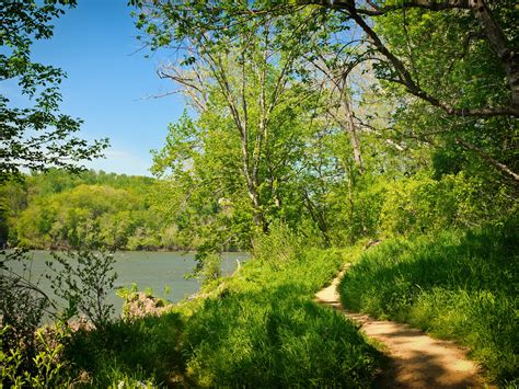 Free Images Landscape Tree Water Nature Forest Path Grass