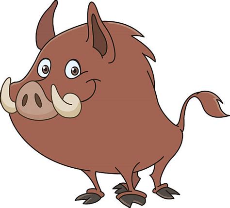 Best Wild Hog Illustrations Royalty Free Vector Graphics And Clip Art