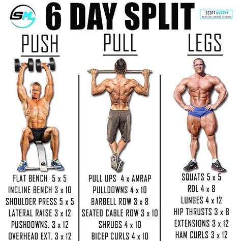 Pin On Gym Training Guides And Workout Plans