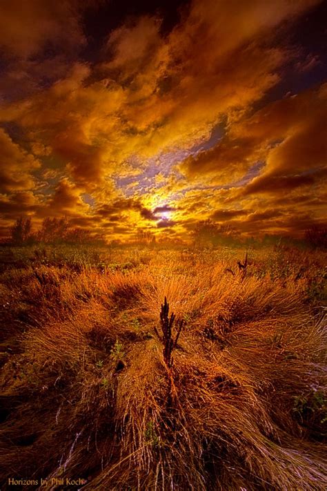 The Entirety Of The Quest Wisconsin Horizons By P Phil Koch