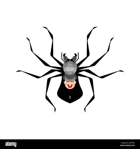 Black Widow Spider Isolated Poisonous Dangerous Spider Stock Vector