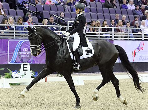 World Cup Grand Prix In Photos Dressage News