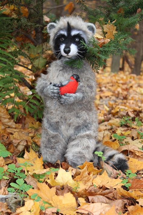 Raccoon Sweetie Ooak Realistic Artist Teddybear Stuffed Collectible