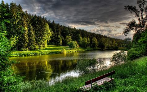 Online Crop Brown Wooden Bench Lake Forest Bench Nature Hd