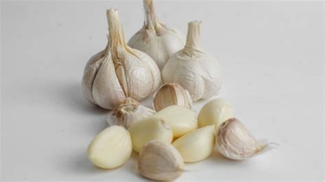 Untuk anda yang tertarik untuk memulai budidaya bawang putih. Cara Menanam Bawang Putih Dari Awal Hingga Panen