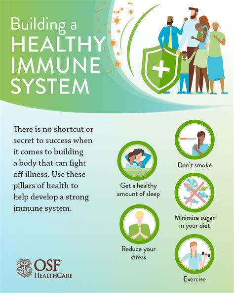Get To Know The Immune System