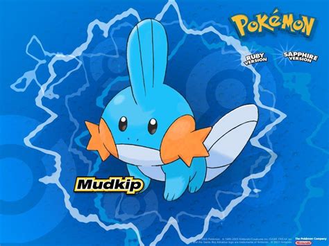 Mudkip Hd Wallpapers Wallpaper Cave