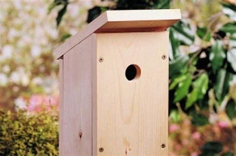 Birdhouse For Beginners Free Woodworking
