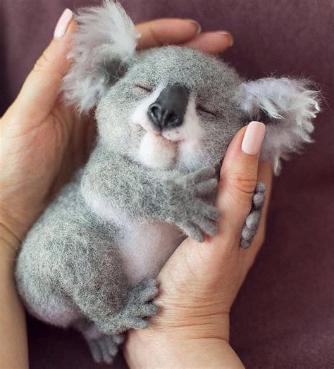 The 100 Cutest Animals Of All Time List Inspire Bayi Hewan