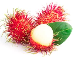 buah rambutan fresh fresh rambutan fruits  toko indonesia