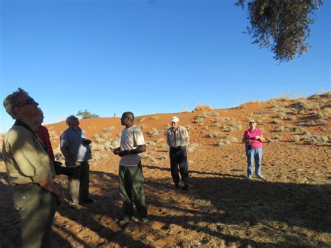 Saffies And Aussies Visit Namibia And The Ktp Africa Wild