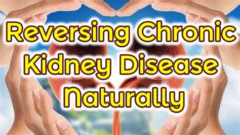 Reversing Chronic Kidney Disease And Improve Kidney Function Naturally
