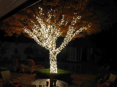 15 Inspirations Hanging Lights On Large Outdoor Tree