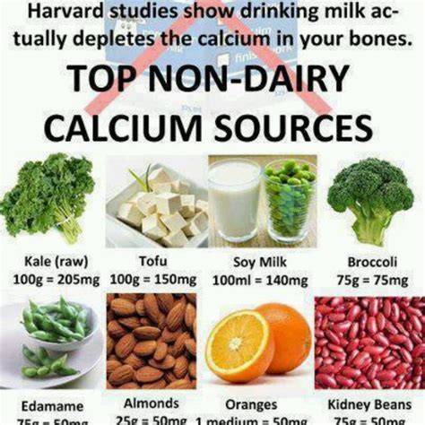 Check out our list of calcium rich foods, showing you what acts as the best source of this important mineral. Calcium sources | Vegan calcium, Vegan nutrition, Healthy