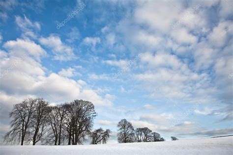 Winter Sceneries In Denmark — Stock Photo © Jeancliclac 65710471