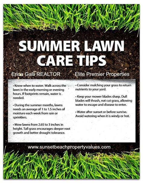 1000 Images About Lawn Care On Pinterest Lawn Care