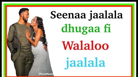 🛑 seenaa jaalala dhugaa fi walaloo jaalala oromia ethiopa youtube