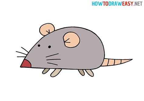 How To Draw A Rat For Kids How To Draw Easy