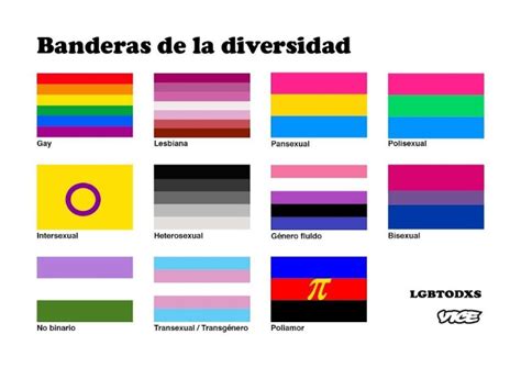 Orgullo Gay Conoce El Significado De Cada Bandera Lgbt La