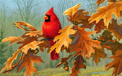 Cardinal Art