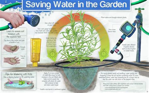 Protect your perennials through the winter and choose the best grasses for canada's climate to maintain a beautiful, thriving lawn and garden year after year. Lord Selkirk Water Savers! - Our Canada Project