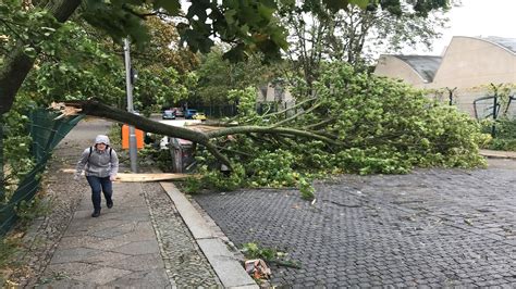 German Storm Kills Six Stops Trains Emtv Online