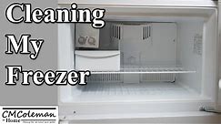 Quick Freezer Cleaning