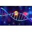 Gene Therapy Zeroes In As LHON Treatment  Ophthalmology Times