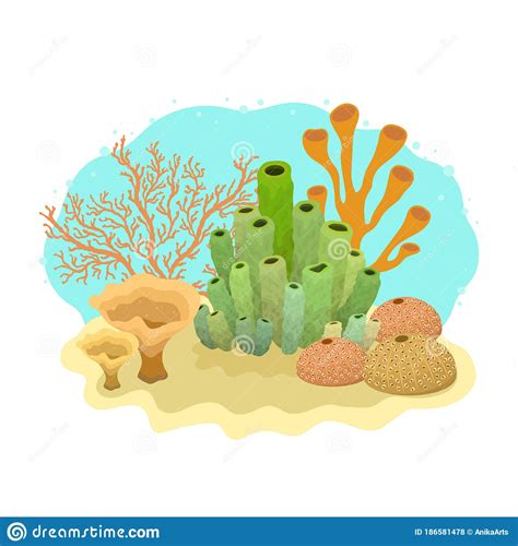 Images Of Cartoon Coral
