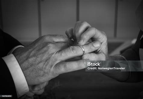 결혼 하는 커플 다른 사람 결혼의 노래로 손가락에 반지를 넣어 2명에 대한 스톡 사진 및 기타 이미지 2명 가까운 감정 Istock