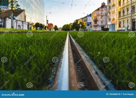 Green Tramway Track Grass Covered Tramway Track Greenery In The City