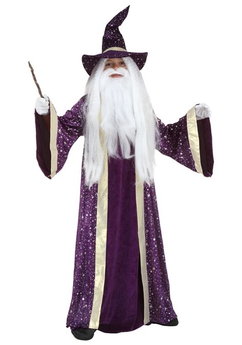 A Wizard With Long White Hair And Beard Holding A Wand
