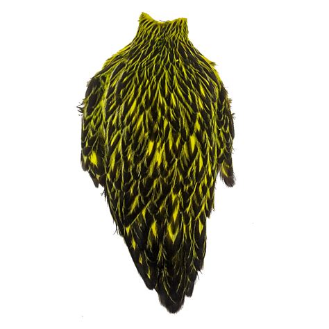 Whiting American Black Laced Hen Cape In Flyellow Chartreuse