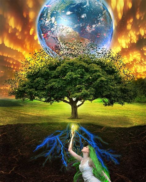 Tree Of Lifegives Greatful Greatnesshealing Energy Helpfulgrounding