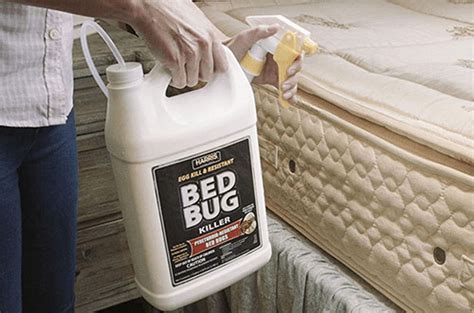 Natural Sprays For Bed Bugs Do They Work