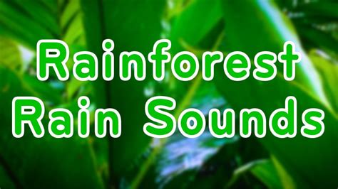 Rainforest Rain Sounds 10 Hours Relaxation Sounds Relaxing White