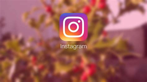 Instagram Hd Wallpapers 4k Hd Instagram Backgrounds On