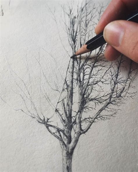 Someone Is Drawing A Tree With Pencils On Paper