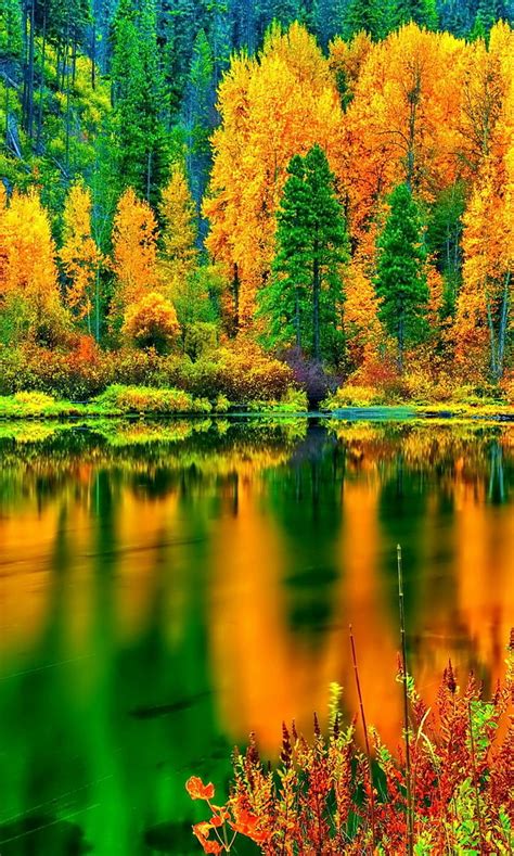 Autumn Lake Hd Phone Wallpaper Peakpx