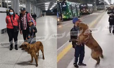 Un final feliz Familia se reencontró con su perro un día después de