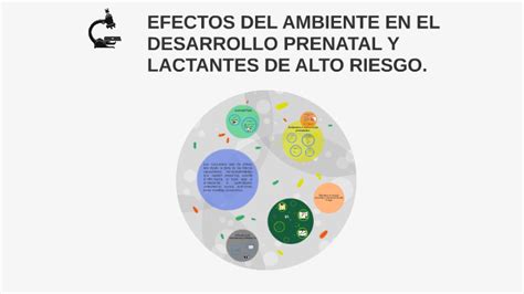 Efectos Del Ambiente En El Desarrollo Prenatal Y Lactantes D By Maritza