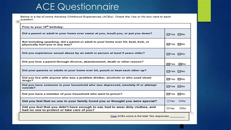 Childhood Trauma Questionnaire Guideindo