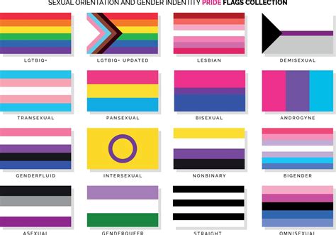 Sexual Orientation And Gender Identity Pride Flags Set 7657348 Vector Art At Vecteezy