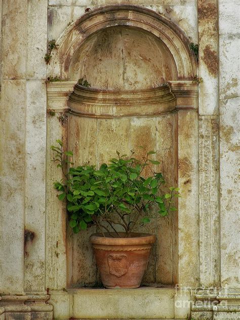 A Tuscan Alcove Photograph By Mike Nellums Pixels