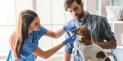Find reviews, ratings, directions, business hours, contact information and book online appointment. Veterinary Clinic | Evansville, IN | West Side Pet ...