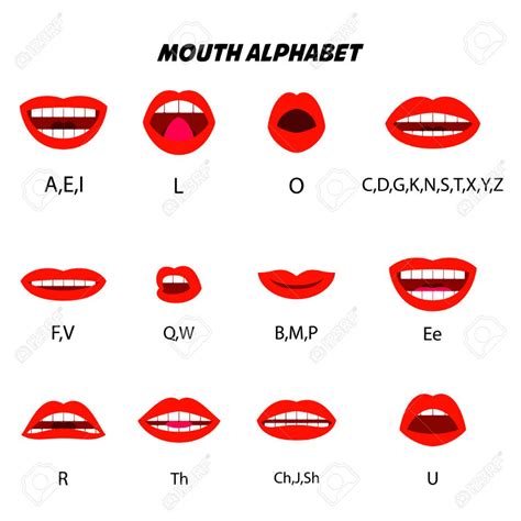 mouth alphabet character mouth lip sync design element for character voice animation motion