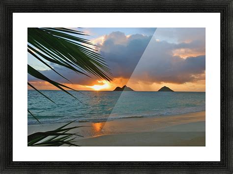 Hawaii Oahu Dramatic Sunrise At Lanikai Beach Mokulua Islands Palm Frond Pacificstock