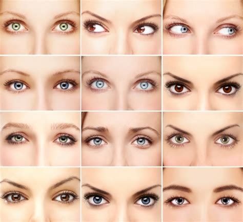 O Que O Formato Dos Seus Olhos Revela Sobre Sua Personalidade